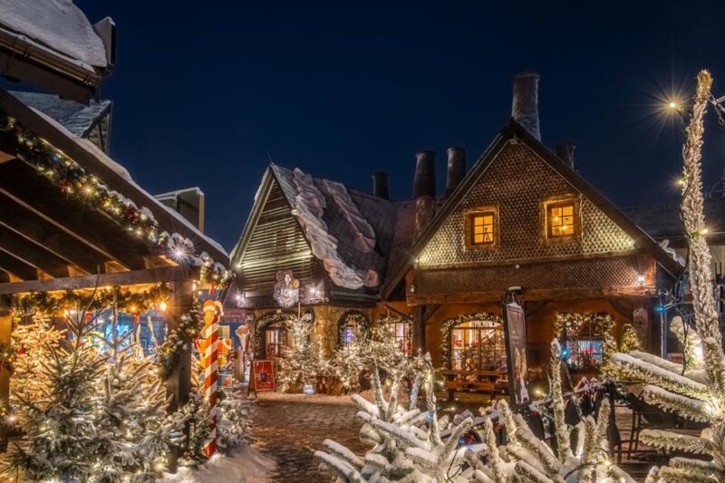 Zator: Energylandia Amusement Park Entry Ticket - Themed Zones Offer Unique Experiences for Every Visitor