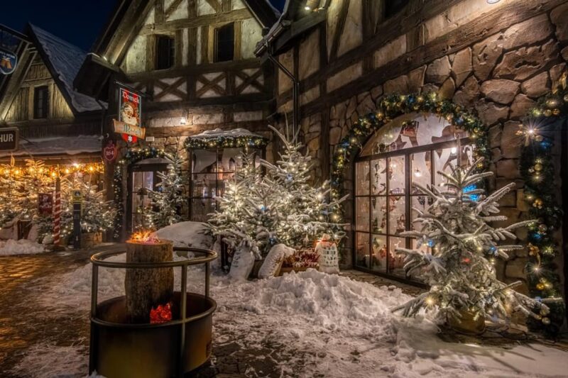 Zator: Energylandia Amusement Park Entry Ticket - Practical Information for a Smooth Visit