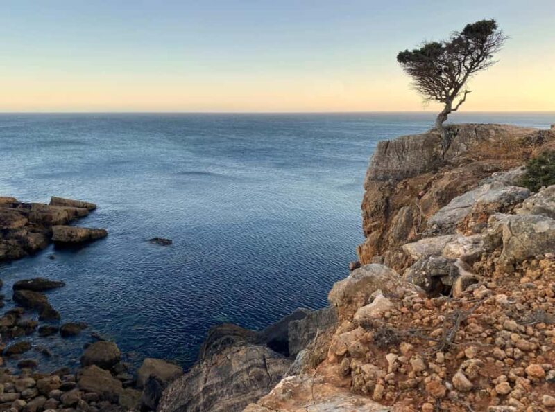 Zavial: Stretch Horizons | Coastal Hike & Yoga - Physical Requirements and Accessibility Considerations