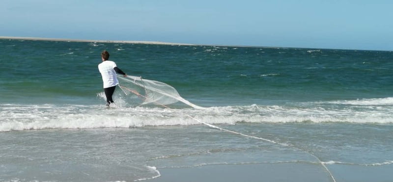 Zeeland Strand safari met visnet NL/DE - Close Inspection with Magnifying Jars and Identification Cards