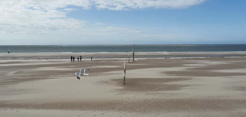 Zeeland Strand safari met visnet NL/DE - Safety and Respect for Nature During the Safari