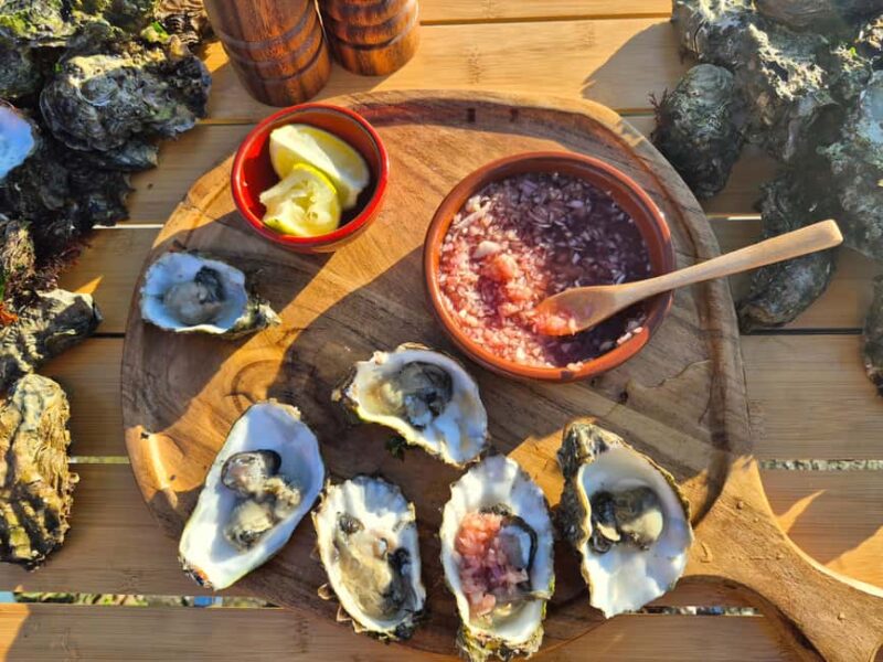 Zeeland Wild Oyster Picking Tour with drink and BBQ. - Key Points