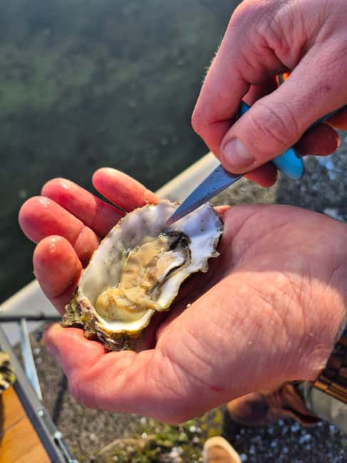 Zeeland Wild Oyster Picking Tour with drink and BBQ. - The Experience: What Makes It Unique