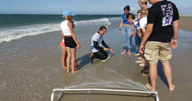 Zeeland Zeehonden strand safari NL/DE - What the Guide Will Teach You About Marine Wildlife