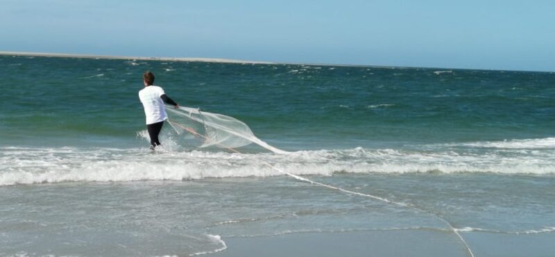 Zeeland Zeehonden strand safari NL/DE - Practical Details: Meeting Point, Weather, and What to Bring