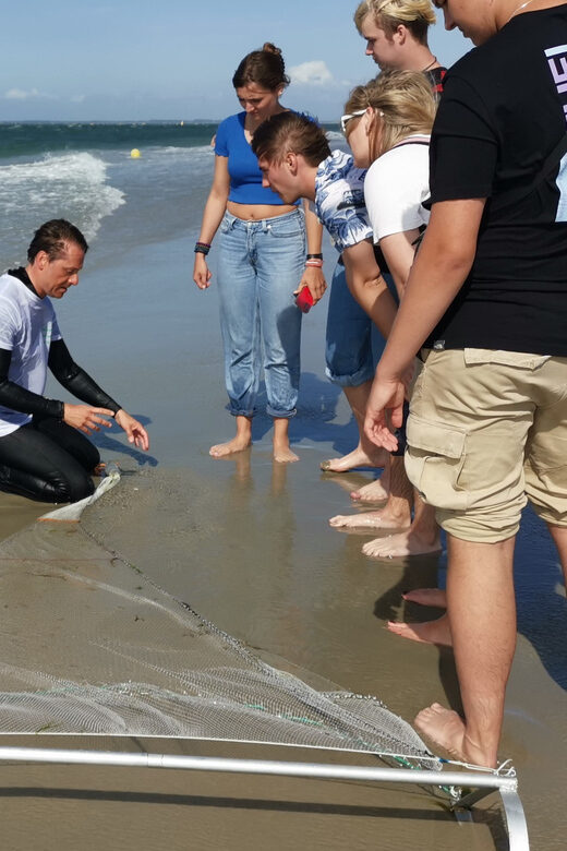 Zeeland Zeehonden strand safari NL/DE - Who Will Enjoy the Zeeland Zeehonden Strand Safari?