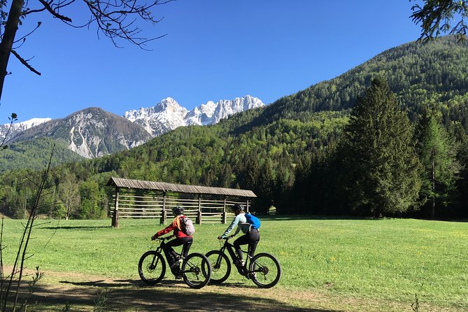 Zelenci Bike Tour - Exploring Zelenci Nature Reserve’s Natural Springs