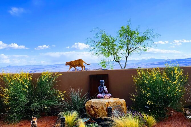Zen Garden Yoga Bliss Experience - The Meeting Point and Accessibility