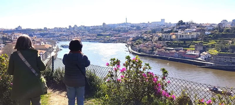 Zen Walking Tour Porto: Find Your Balance 2h - Exploring the Tranquil Gardens of Porto