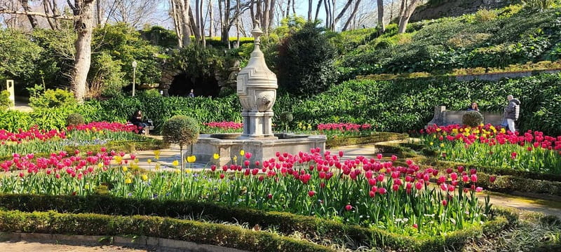Zen Walking Tour Porto: Find Your Balance 2h - Ending Back at the Starting Point