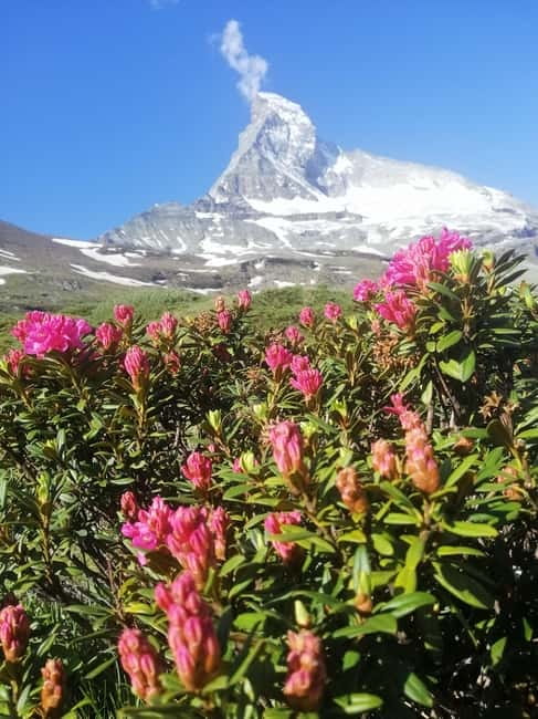 Zermatt: Matterhorn Glacier Paradise & Schwarzsee Hike - Key Points