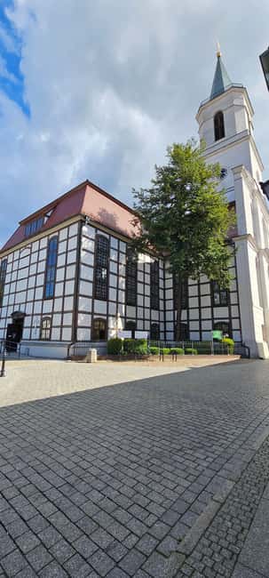 Zielona Góra  3-Hour Walking Tour of Polands Wine Capital - The Tropical Atmosphere at the Palm House