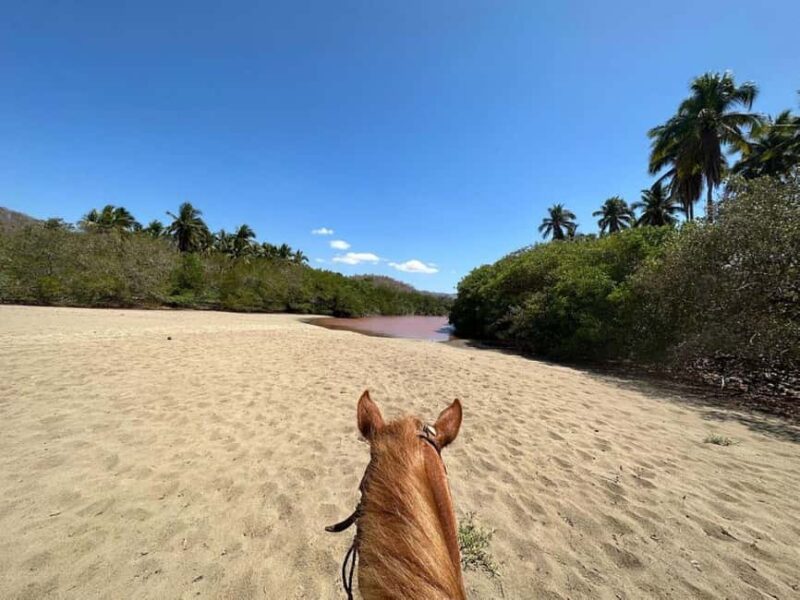 Zihuatanejo: Horseback Riding Tour with Playa Larga Beach - Ratings and Provider Reputation