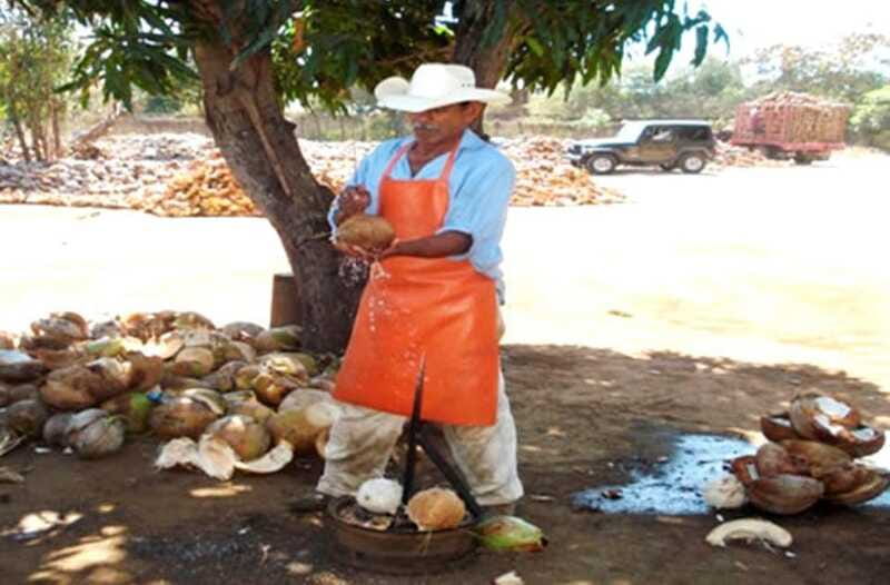 Zihuatanejo Ixtapa: Countryside Tour - The Guide and Language Considerations