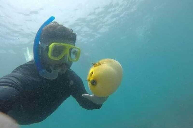 Zihuatanejo: Las Gatas Beach Snorkeling and Kayaking Tour - Accessibility and Suitability for Different Travelers