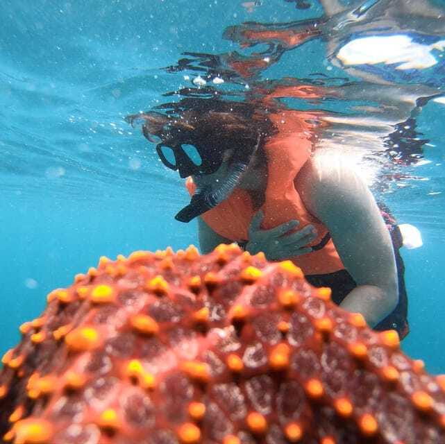 Zihuatanejo: Snorkeling in Manzanillo and Las Gatas - Key Points
