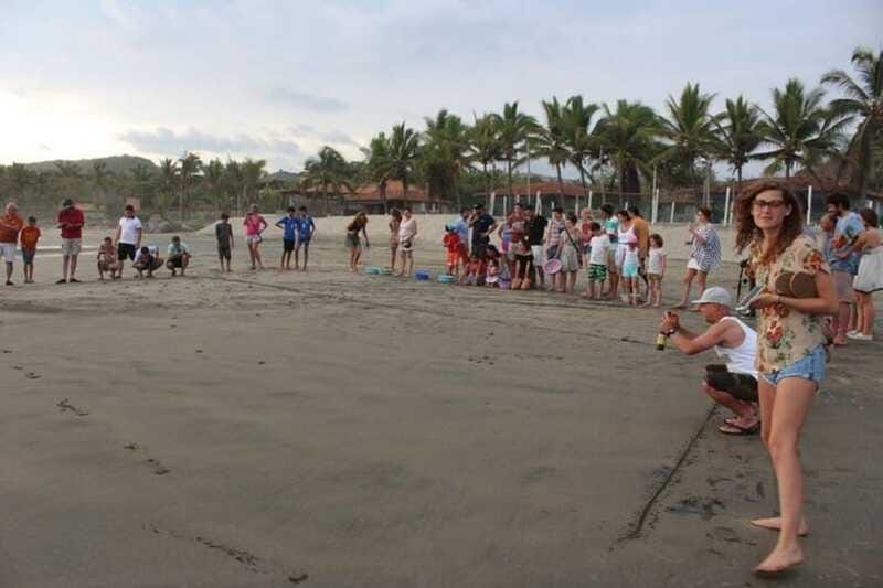 Zihuatanejo: Troncones,Manzanillo Bayband Majahua Beach Tour - Local Mexican Cuisine and Refreshments Included