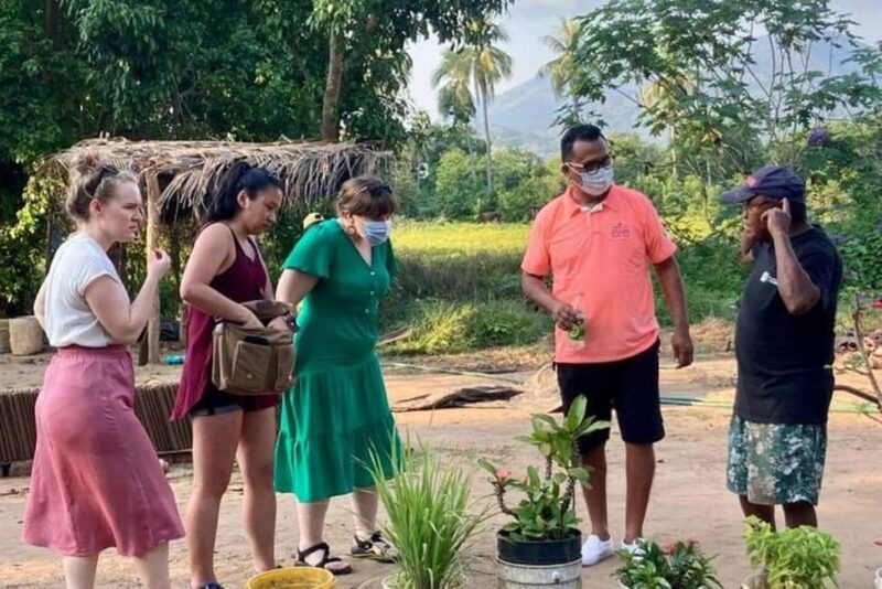 Zihuatanejo: Xihuacan Archaeological Tour with Museum Visit - Pacing and Physical Considerations