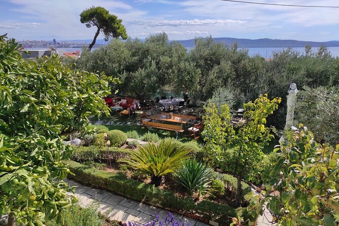 Zinfandel Wine Tasting & Storytelling with Dalmatian Food - Final Thoughts on the Zinfandel & Dalmatian Food Tour in Kastela