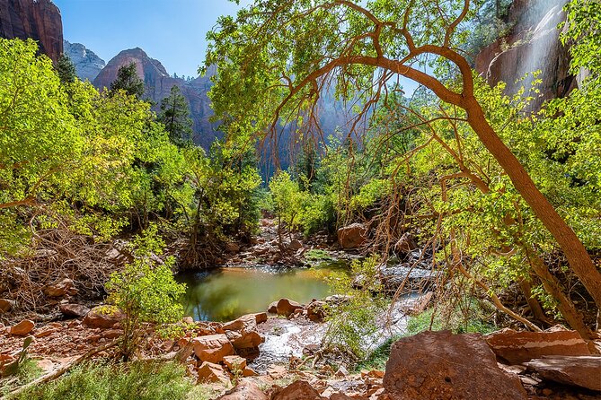 Zion National Park by Tour Trekker - Stops in Littlefield and the End of the Day
