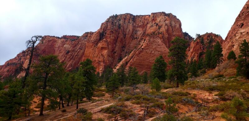 Zion National Park - Kolob Terrace: 1/2 Day Sightseeing Tour - Scenic Views from Above and Remote Vantage Points