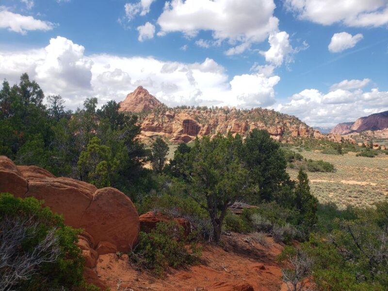 Zion National Park - Kolob Terrace: 1/2 Day Sightseeing Tour - Flexibility and Booking Options