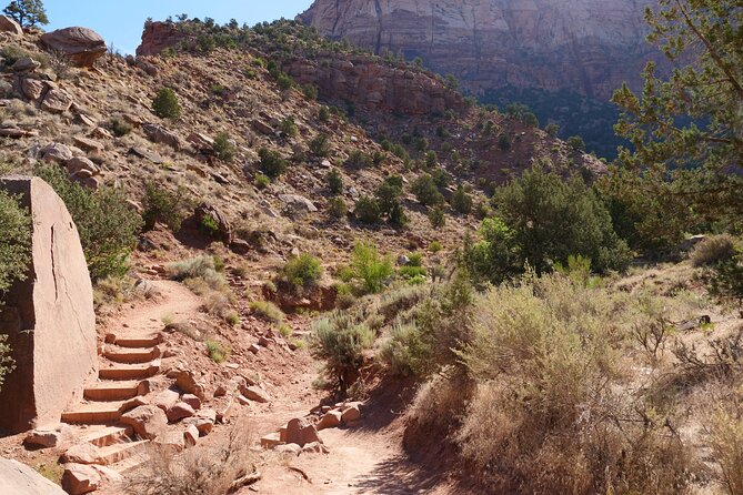 Zion National Park Small Group Tour from Las Vegas - Exploring Checkerboard Mesa and Erosion Features