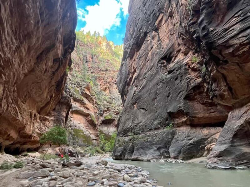 Zion National Park: The Narrows Private Guided Hike - Key Points