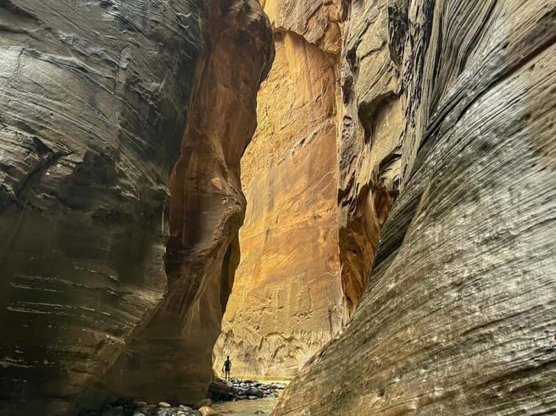 Zion National Park: The Narrows Private Guided Hike - The Benefits of a Private Guide in Zion’s Narrows