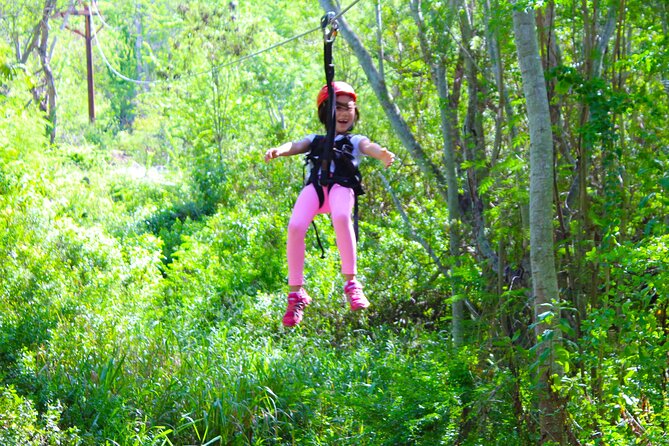 Zip and Dip: 3 Ziplines and Wet n Wild Waterpark - Mixed Review Highlights and Considerations