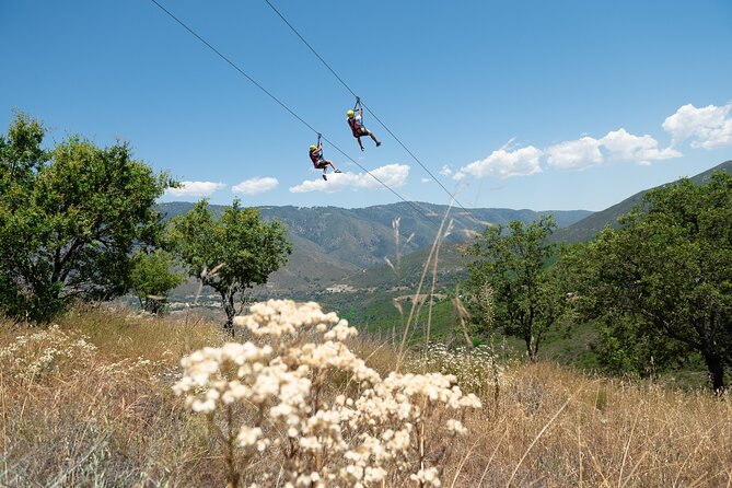 Zip Zoom Ziplines at La Jolla Indian Adventure Park - What Makes This Tour Stand Out
