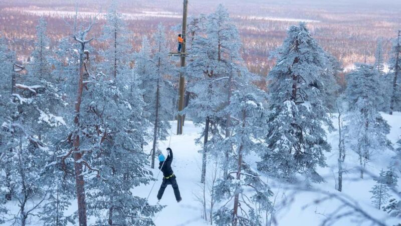 Zipline & Climbing at Adventure Park in Pyhä Fell - The Three Routes: From Easy to Challenging