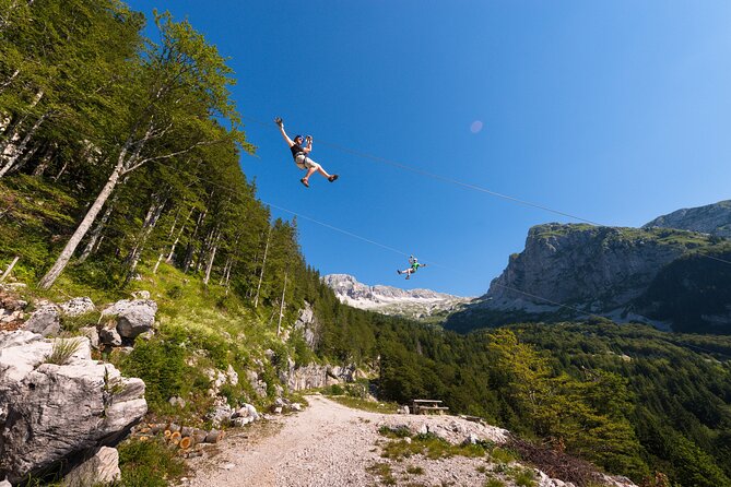 Zipline in Slovenia - Suitable for Families and Those with Moderate Fitness
