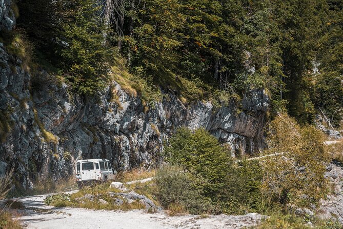 ZIPLINE Kanin Bovec - Physical Fitness and Child Participation