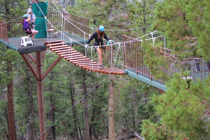 Zipline Tour - 9 high-speed ziplines & fun suspension bridge - Transportation and Meeting Logistics