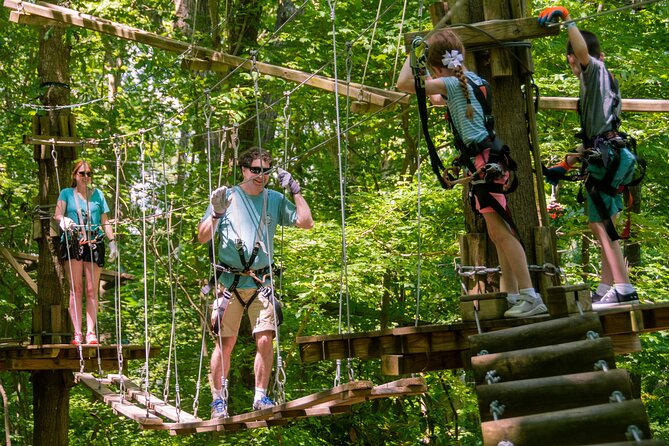 Ziplining and Climbing at The Adventure Park at Virginia Aquarium - Why Choose This Adventure Park in Virginia Beach?