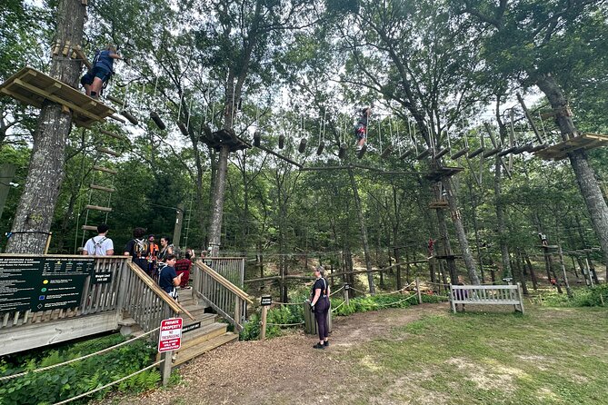 Ziplining and Climbing at The Adventure Park on Cape Cod - Key Points