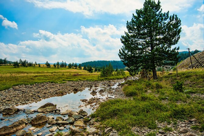 Zlatibor Mountain Full Day Private Tour from Belgrade - Optional Zipline Adventure at Ljubis