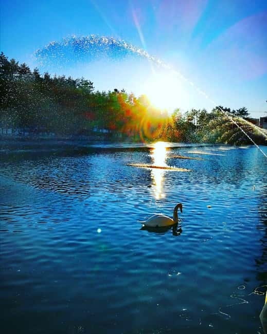 Zlatibor tour - Gold gondola, Stopic cave, Sirogojno & falls - Practical Details and What’s Included