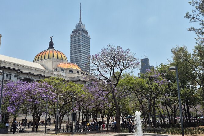 Zócalo Private Tour: Historic Center of Mexico City - Final Thoughts on the Zócalo Private Tour