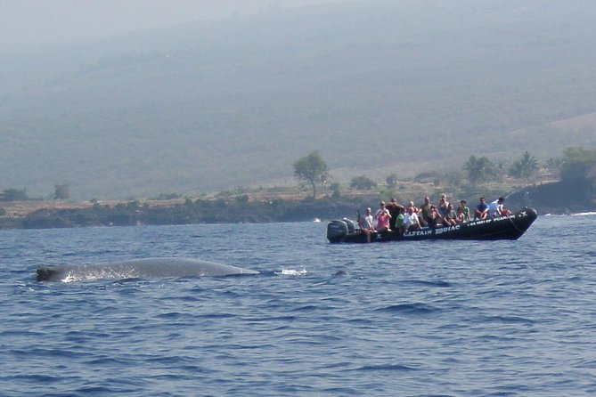 Zodiac Raft Whale Watching Adventure - Cancellation Policy and Booking Tips