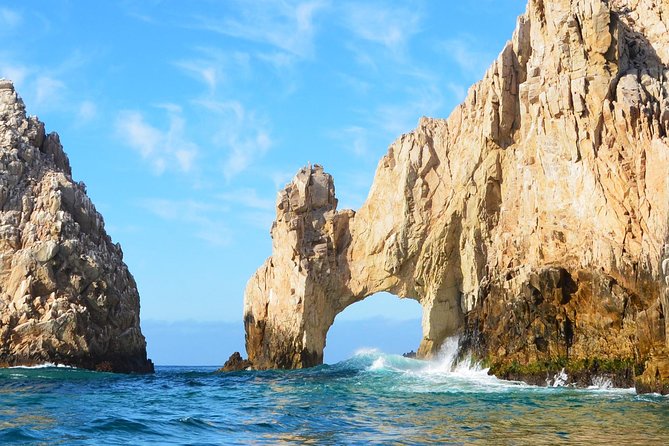 Zodiac Whale Watching Adventure - Incl FREE photos - The Role of the Marine Biologist Guide