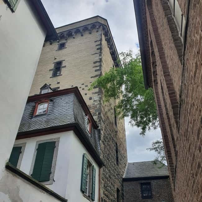 Zons Segway Tour - Scenic Dike Ride and Rhine Meadows