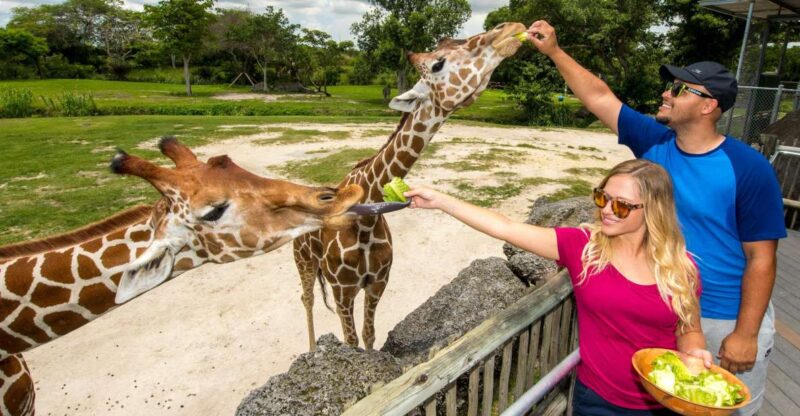 Zoo Miami: General Admission Ticket - Explore Zoo Miami’s Vast Grounds and Animal Diversity