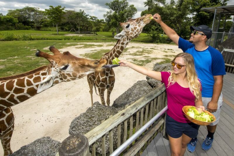 Zoo Miami: General Admission Ticket - Experience the Amazon and Beyond Rainforest Zone