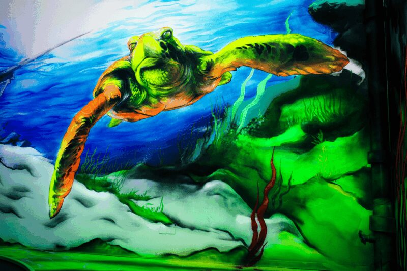 Zurich: Black Light Galaxy Minigolf - Pricing and Value for Money