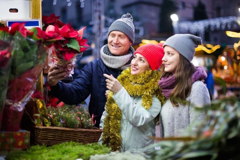 Zurich: Enchanted Christmas - A Festive Private Walking Tour - Key Points