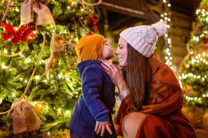 Zurich: Enchanted Christmas - A Festive Private Walking Tour - Logistics and Practical Details