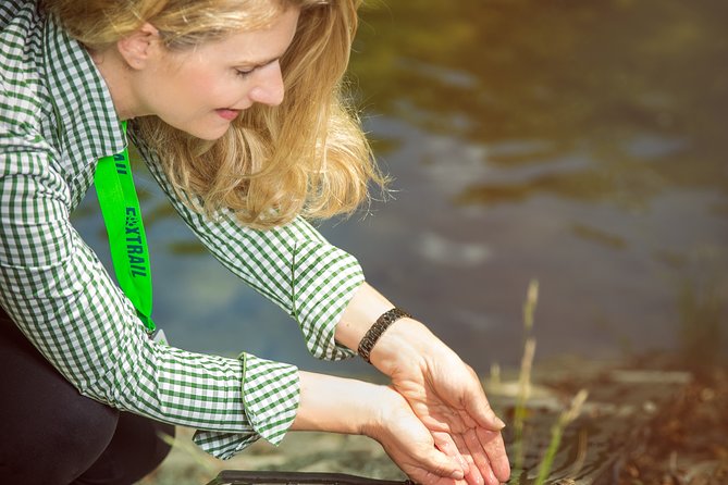 Zurich Foxtrail Spartacus - Logistics and Accessibility for Participants