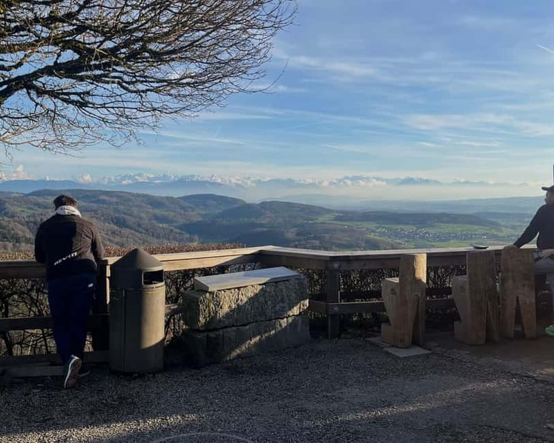 Zurich: Hike Up Zurich's Viewpoint & Enjoy Outdoor Raclette - Scenic Descent and Return to Zurich